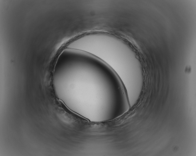 X0000093231160200709261503
