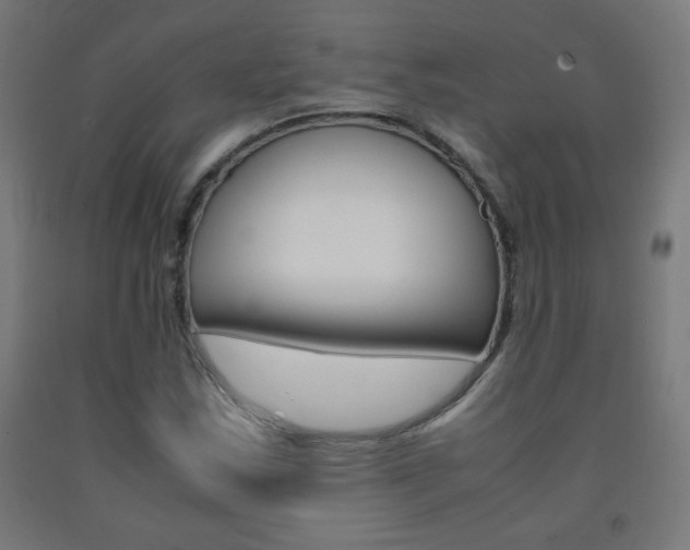 X0000093231163200709261503