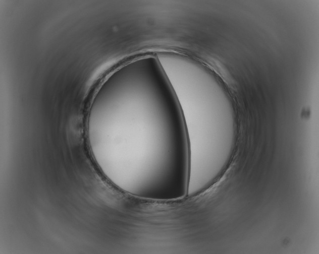 X0000093231164200709261503