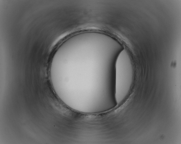 X0000093231166200709261503