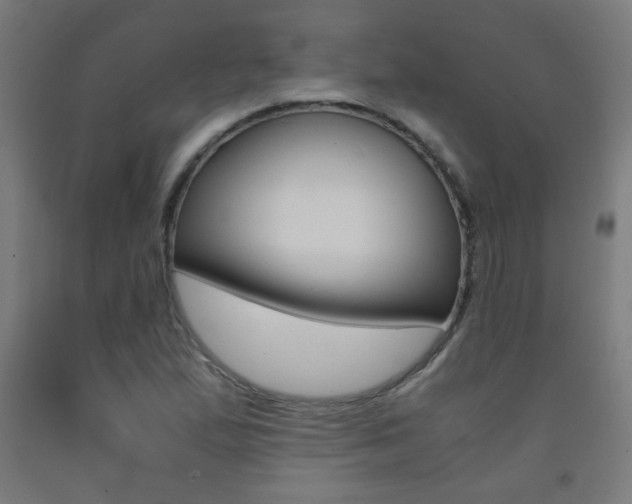 X0000093231167200709261503