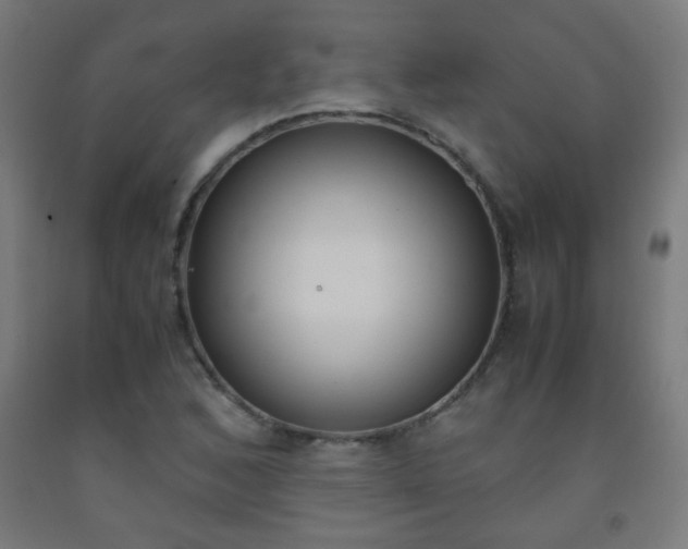 X0000093231168200709261503