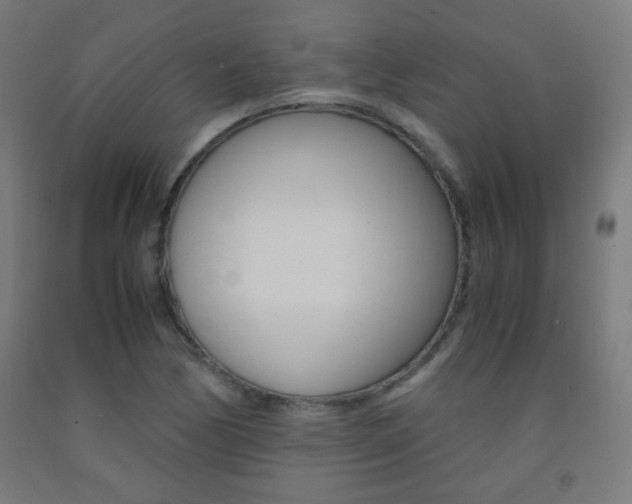 X0000093231170200709261503