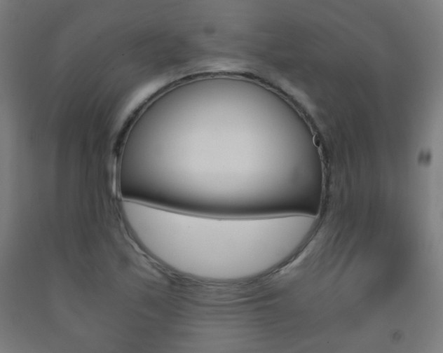 X0000093231171200709261503