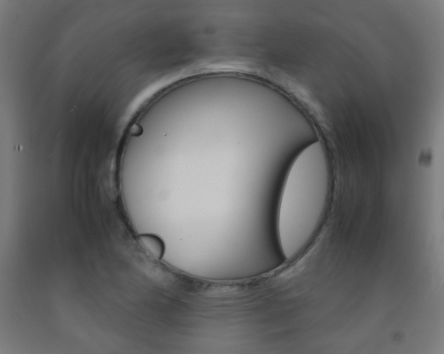 X0000093231174200709261503