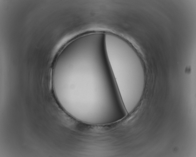 X0000093231175200709261503