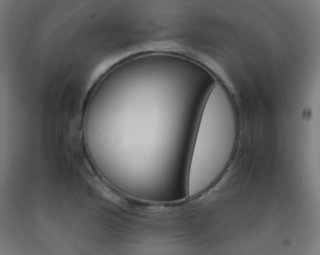 X0000093231176200709261503