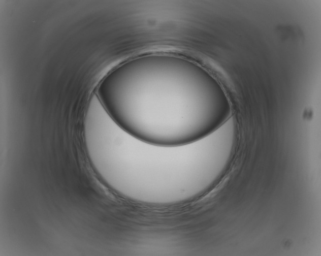 X0000093231177200709261503