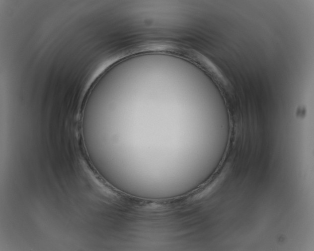 X0000093231178200709261503