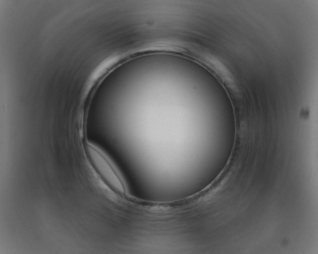 X0000093231180200709261503