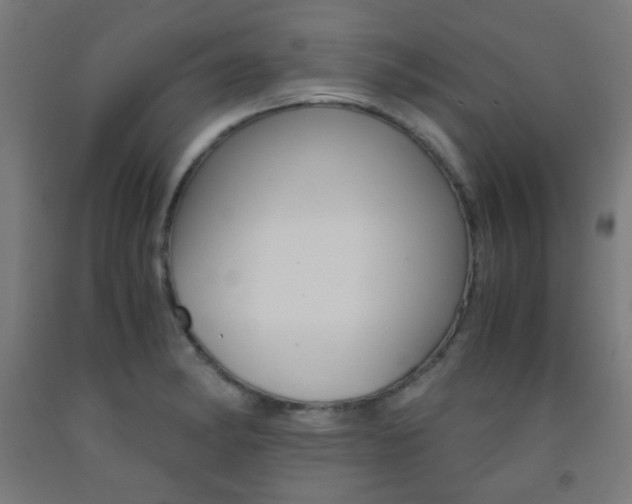 X0000093231182200709261503