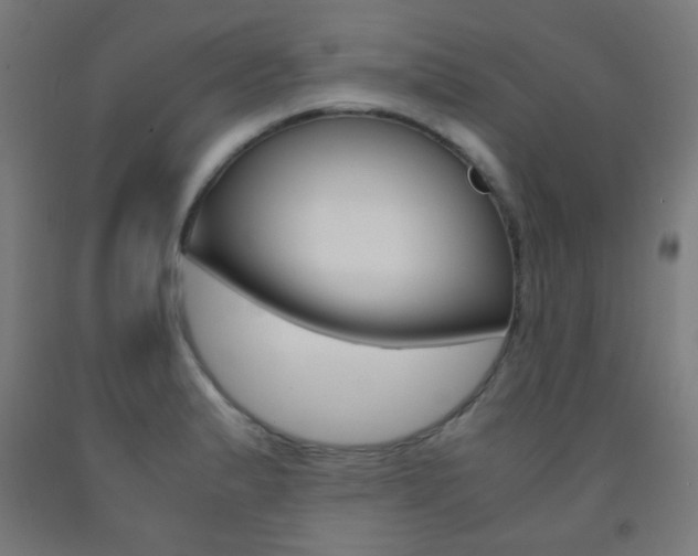 X0000093231183200709261503