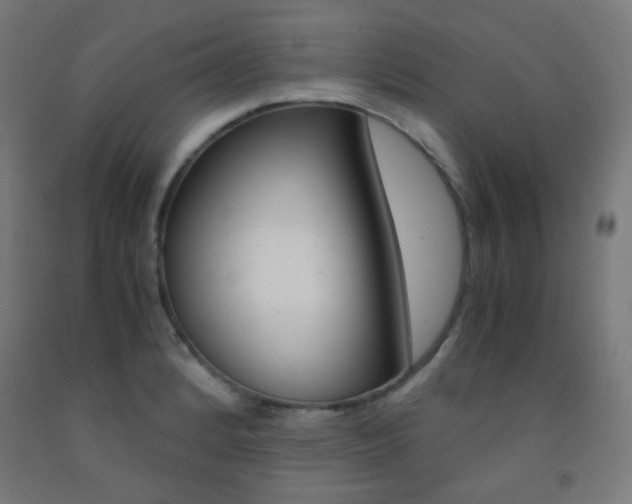 X0000093231184200709261503
