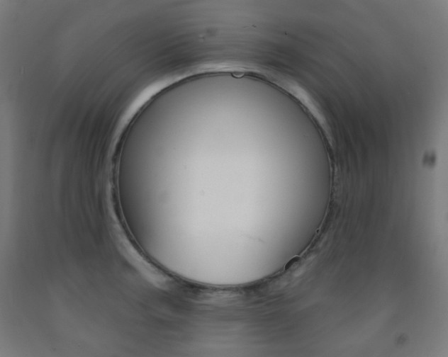 X0000093231187200709261503