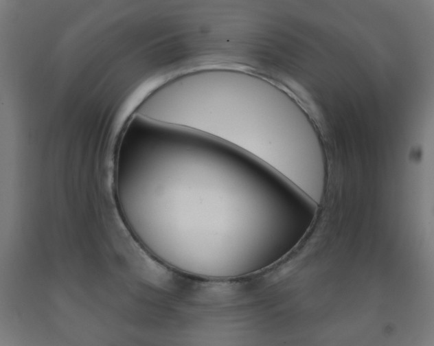 X0000093231188200709261503
