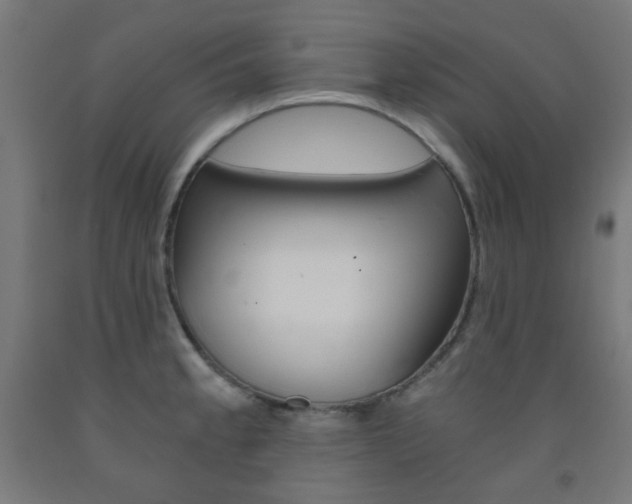 X0000093231189200709261503