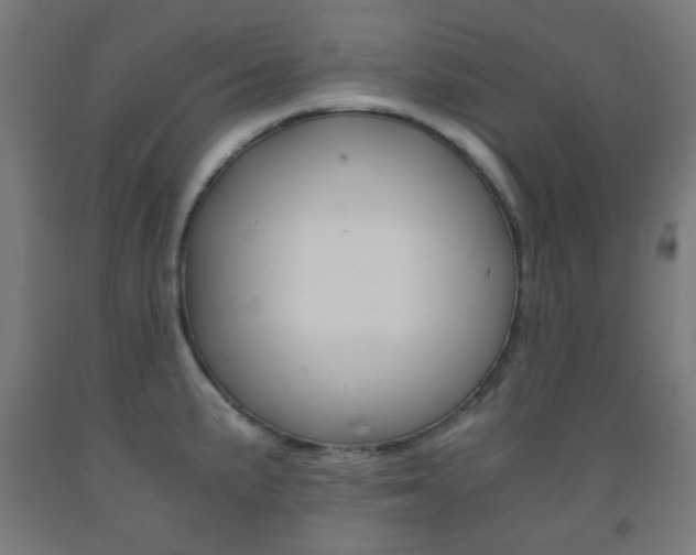 X0000093231191200709261503