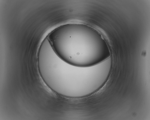 X0000093231192200709261503