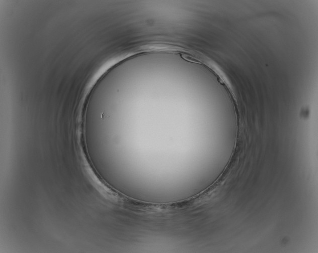 X0000093231195200709261502