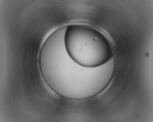 X0000093231196200709261502
