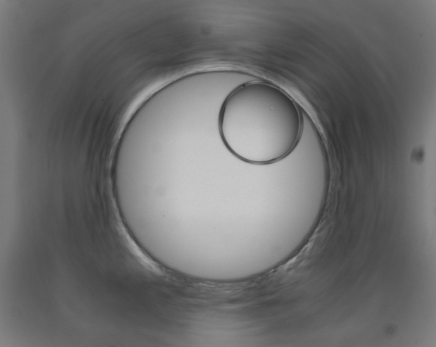 X0000093231197200709261502