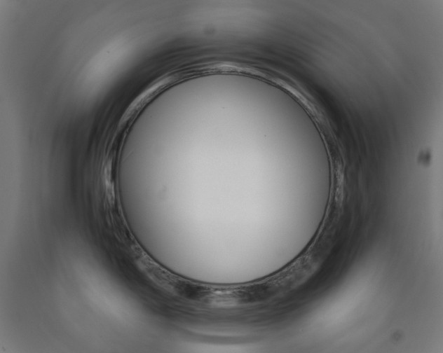 X0000093231198200709261502