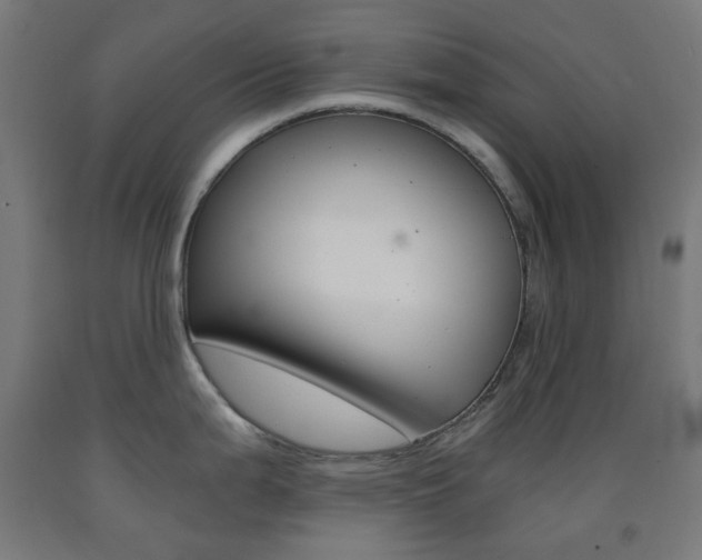 X0000093231199200709261502