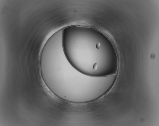 X0000093231200200709261502