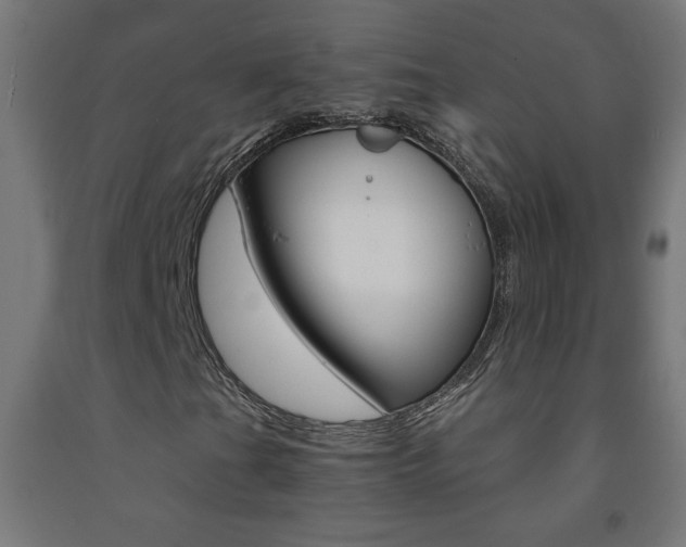 X0000093231201200709261502