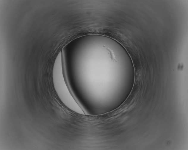 X0000093231202200709261502