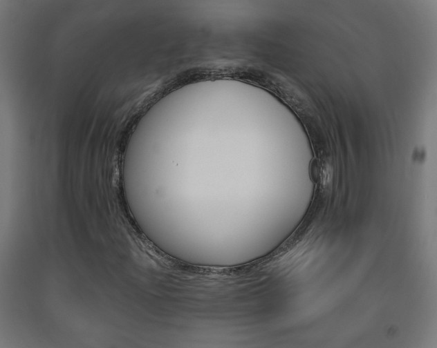 X0000093231204200709261502