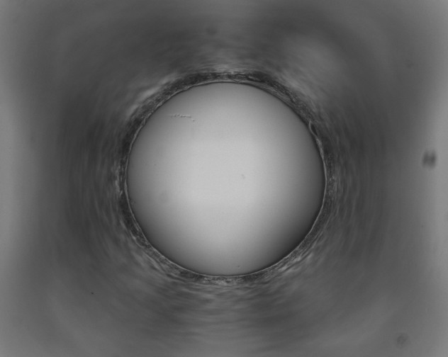 X0000093231205200709261502