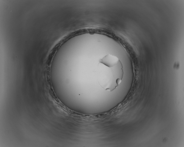 X0000093231208200709261502