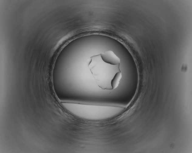 X0000093231210200709261502