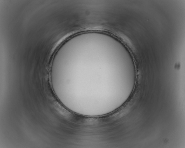 X0000093231212200709261502