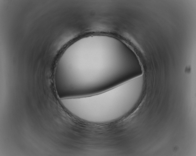 X0000093231213200709261502