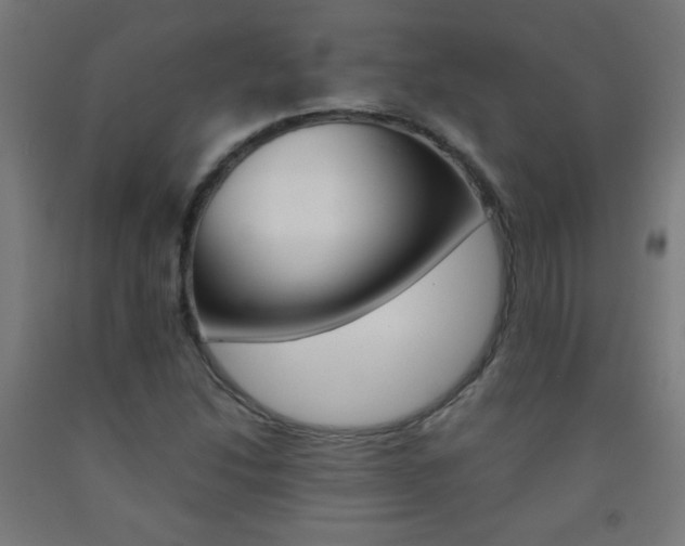 X0000093231214200709261502