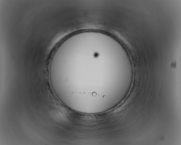 X0000093231215200709261502