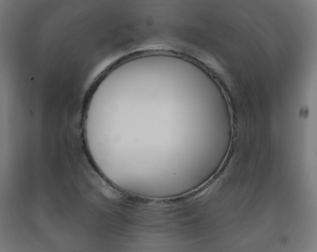 X0000093231216200709261502