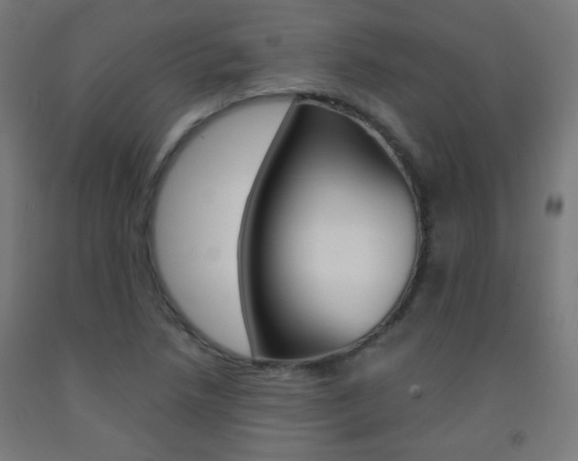 X0000093231218200709261502
