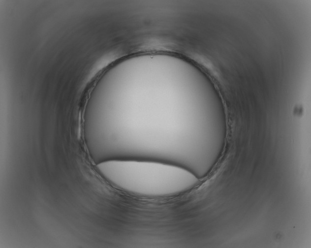 X0000093231219200709261502