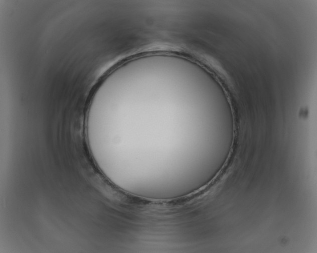 X0000093231220200709261502