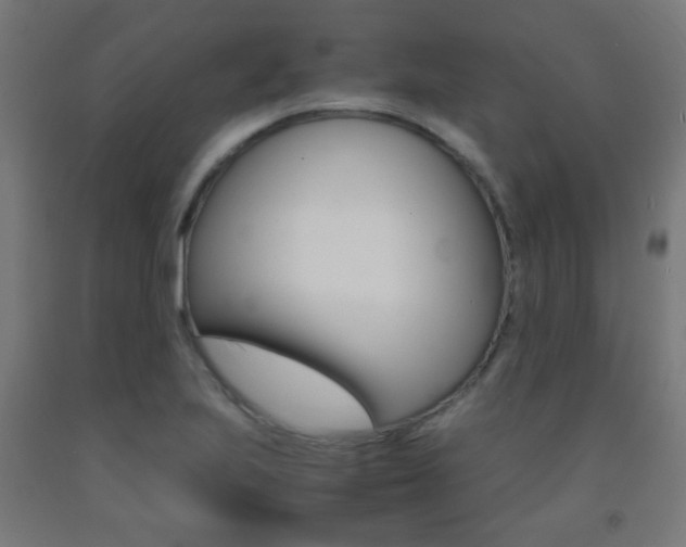 X0000093231223200709261502
