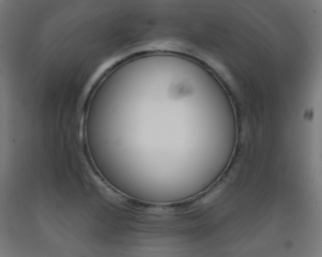 X0000093231224200709261502
