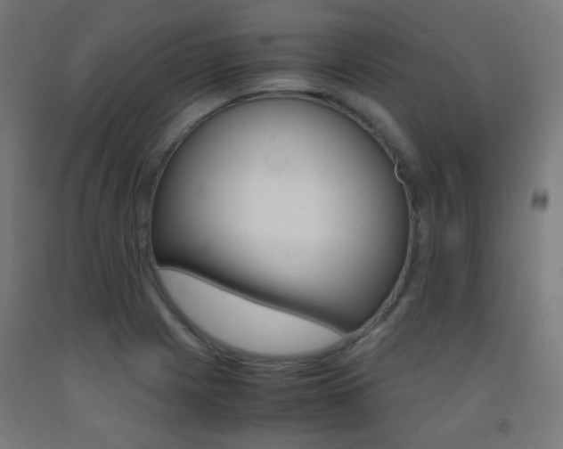 X0000093231225200709261502
