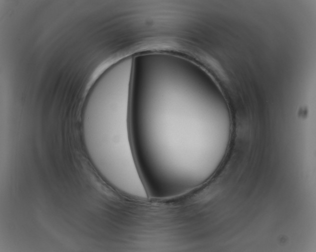 X0000093231226200709261502