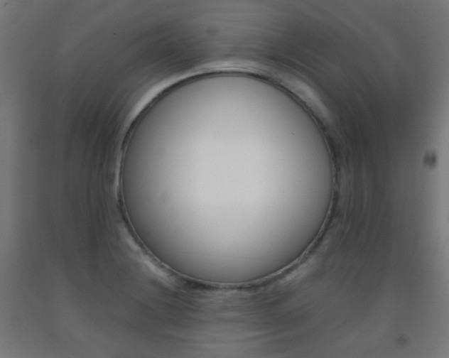 X0000093231228200709261502