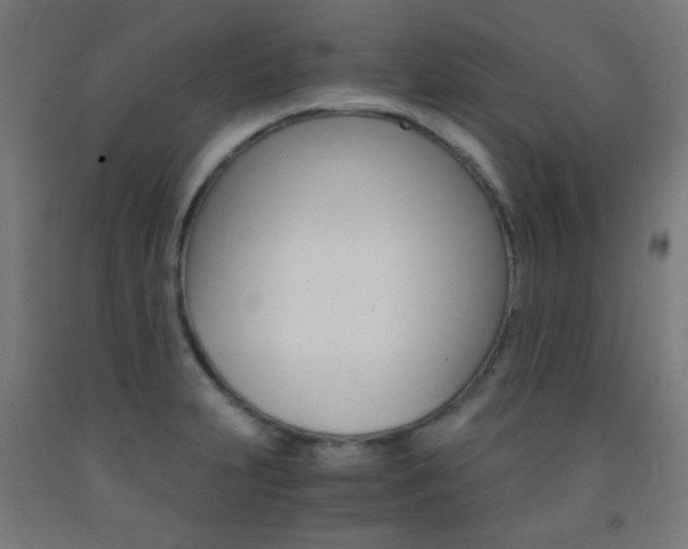 X0000093231231200709261502