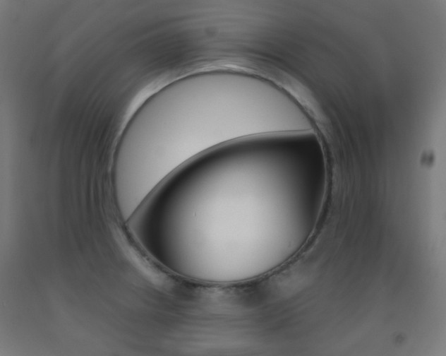 X0000093231234200709261502