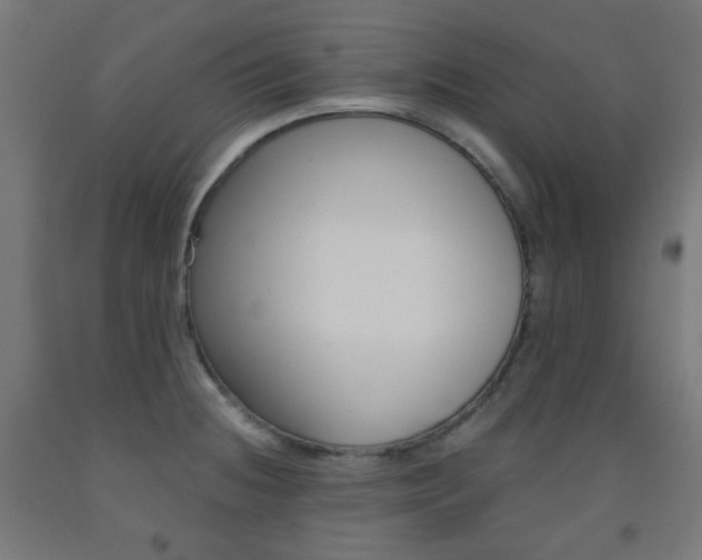 X0000093231236200709261502